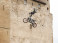 Foto: "Red Bull Fighters" Narvā